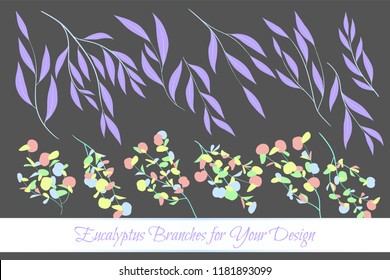 Rustic Decorative Plants Collection. Hand Drawn Eucalyptus Leaves Isolated. Vector EPS10 Illustration. Botanical Elements. Exotic Tropical Foliage and Flowers. Decorative Plants Set for Wedding Design