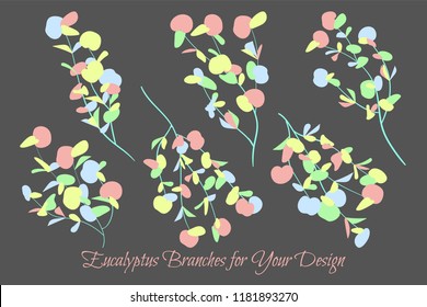 Rustic Decorative Plants Collection. Hand Drawn Eucalyptus Leaves Isolated. Vector EPS10 Illustration. Botanical Elements. Exotic Tropical Foliage and Flowers. Decorative Plants Set for Wedding Design