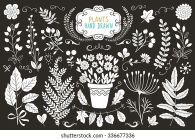 Rustic decorative plants collection. Hand drawn vintage vector design elements. Vector monochrome sketch.
