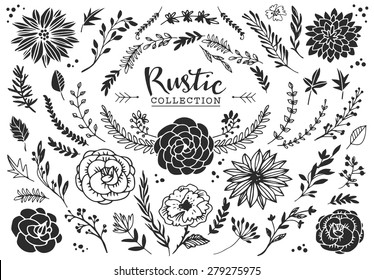 Rustic decorative plants and flowers collection. Hand drawn vintage vector design elements.