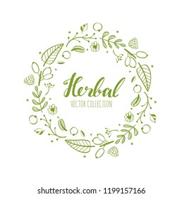 Rustic decorative plants and flowers wreath collection. Vector Hand drawn  design elements.