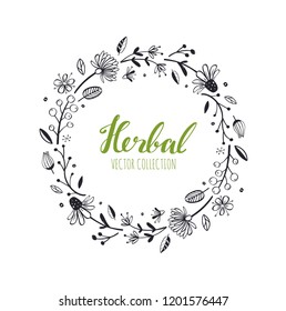 Rustic decorative plants and flowers wreath collection. Vector Hand drawn  design elements.