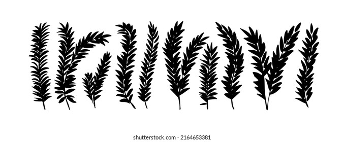 Rustic decorative plants, leaves and branches collection. Hand drawn vintage vector design elements. Black botanical silhouettes. Tree branches, eucalyptus, herbs. Leaves and foliage isolated on white