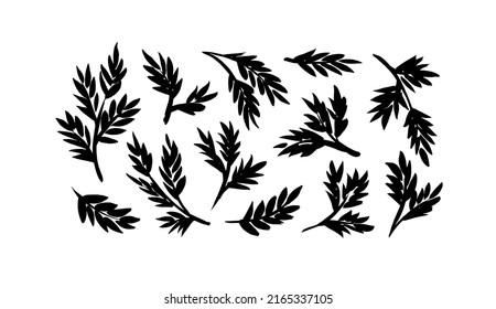 Rustic decorative plants, leaves and branches collection. Hand drawn vintage vector design elements. Black botanical silhouettes. Tree branches, eucalyptus, herbs. Leaves and foliage isolated on white
