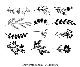 Rustic design elements set vector 