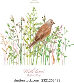 rustic eco invitation card with a field of herbal grass and a little brown bird sitting on a green plant twig. watercolor painting sketch of a feathered creature. vector illustration of wild nature