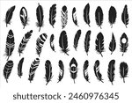 Rustic ethnic decorative feathers set black silhouette, Collection of hand-drawn feathers, Set of decorative animal feathers, Bird feather icon silhouette collection