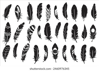 Rustic ethnic decorative feathers set black silhouette, Collection of hand-drawn feathers, Set of decorative animal feathers, Bird feather icon silhouette collection