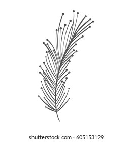 rustic feather decoration design