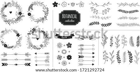 Rustic floral design elements. Hand drawn compositions with decorative flowers, herbs, leaves and branches. Vintage botanical illustrations.