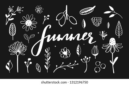 Rustic and floral doodle set. Vector hand drawn botanical illustration. Isolated objects on white, Summer handwritten Calligraphy