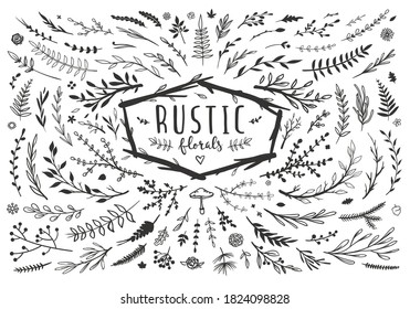 Rustic floral set with flowers, herbs, leaves and sticks. Vector botanical doodles isolated on white. 