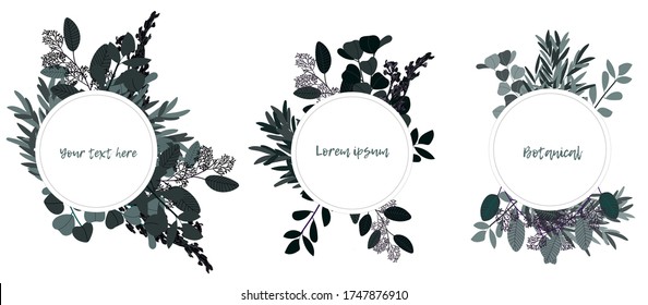 Rústica corona floral. Marcos redondos botánicos con espacio de copia para texto. Bordes de época con ramas y ramas de hierbas. Ilustración vectorial. El eucalipto redondo bordea el espacio aislado en blanco. 