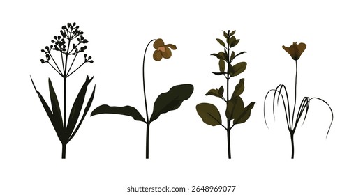 Rustic Flower Silhouette Art with Natural Plant Forms in Black on White Background, Flat Vector Set of Garden Flowers and Wild Plants in Stylized Silhouette Design