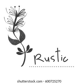 rustic flowers plants decoration design