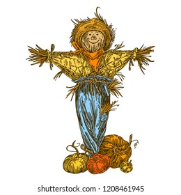Rustic fun scarecrow and pumpkins. Color. Engraving style. Vector illustration.