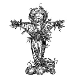 Rustic Fun Scarecrow And Ripe Pumpkins. Sketch. Engraving Style.