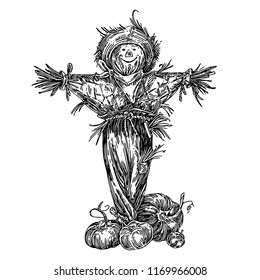 Rustic fun scarecrow and ripe pumpkins. Sketch. Engraving style.