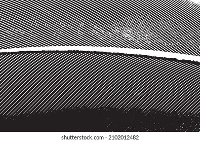 Rustic grunge vector texture with grain and stains. Abstract noise background. Weathered surface. Dirty and damaged. Detailed rough backdrop. Vector graphic illustration with transparent white. EPS10.