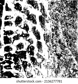 Rustic grunge vector texture with grain and stains. Abstract noise background. Weathered surface. Dirty and damaged. Detailed rough backdrop. Vector graphic illustration with transparent white. EPS10.