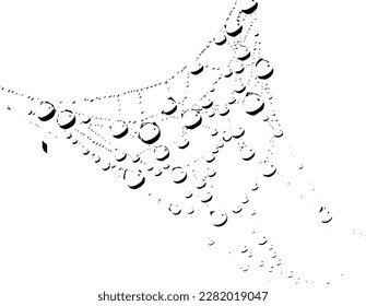 Rustic grunge vector texture with grain and stains. Abstract noise background. Weathered surface. Dirty and damaged. Detailed rough backdrop. Vector graphic illustration with transparent white. EPS10.