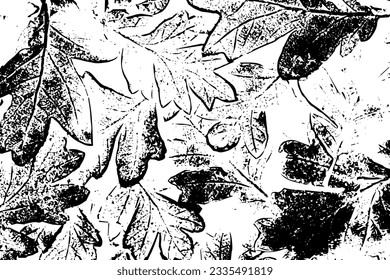 Rustic grunge vector texture with grain and stains. Abstract noise background. Weathered surface. Dirty and damaged. Detailed rough backdrop. Vector graphic illustration with transparent white. EPS10.