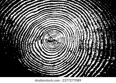 Rustic grunge vector texture with grain and stains. Abstract noise background. Weathered surface. Dirty and damaged. Detailed rough backdrop. Vector graphic illustration with transparent white. EPS10.