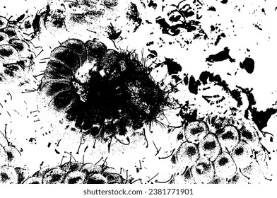 Rustic grunge vector texture with grain and stains. Abstract noise background. Weathered surface. Dirty and damaged. Detailed rough backdrop. Vector graphic illustration with transparent white. EPS10.