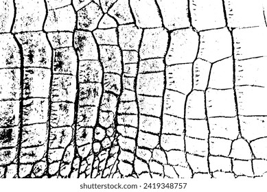 Rustic grunge vector texture with grain and stains. Abstract noise background. Weathered surface. Dirty and damaged. Detailed rough backdrop. Vector graphic illustration with transparent white. EPS10.