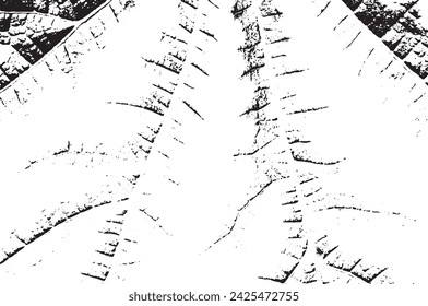 Rustic grunge vector texture with grain and stains. Abstract noise background. Weathered surface. Dirty and damaged. Detailed rough backdrop. Vector graphic illustration with transparent white. EPS10.