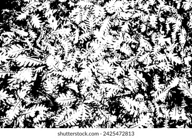 Rustic grunge vector texture with grain and stains. Abstract noise background. Weathered surface. Dirty and damaged. Detailed rough backdrop. Vector graphic illustration with transparent white. EPS10.