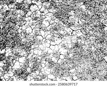 Rustic grunge vector texture with grain and stains. Abstract noise background. Weathered surface. Dirty and damaged. Detailed rough backdrop. Vector graphic illustration with transparent white. EPS10.