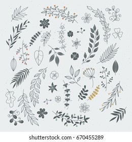 Rustic hand drawn ornaments with branches and leaves. Vector floral frames and borders