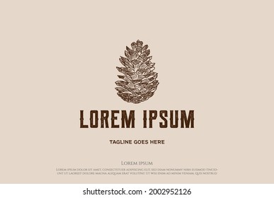 Rustic Hand Drawn Pine Cone Logo Design Vector