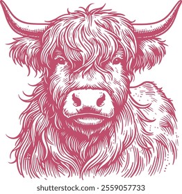 Rustic Hand-Drawn Highland Cow Illustration with Vintage Farm Aesthetic