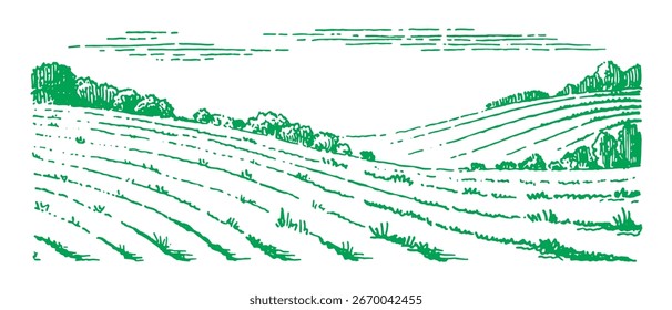 Rustic meadow hand drawn village landscape illustration with fields. Beautiful scentic view for milk, cheese farm products. Eco food.