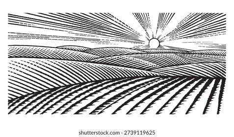 Rustic meadow hand drawn village sunset landscape illustrations with fields full of grass. Beautiful rural scentic view for milk, cheese farm products. Eco natural food engraving.