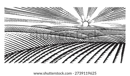 Rustic meadow hand drawn village sunset landscape illustrations with fields full of grass. Beautiful rural scentic view for milk, cheese farm products. Eco natural food engraving.