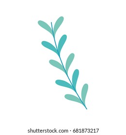 rustic natural branches plant with leaves