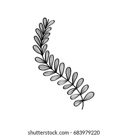 rustic natural branches plant with leaves