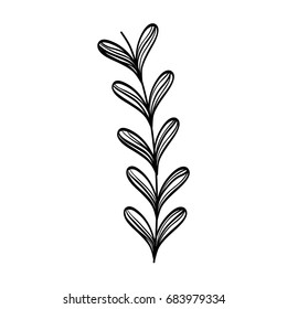 rustic natural branches plant with leaves