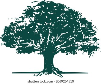 A rustic oak tree vector logo. 