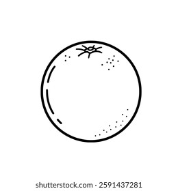 Rustic Orange Fruit Sketch – Hand-Drawn Vector for Natural Food Labels, Stickers, and Packaging