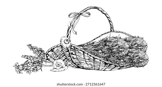 Cesta ovalada rústica de Paquetes de lavanda, caracoles de arco y jardín, tallos de una sola flor. Ilustración aislada dibujada a mano en tinta de Vector. Regalos del balneario del bienestar, jabón o Conjuntos de la vela, encanto del dormitorio