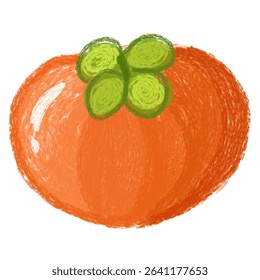rustic persimmon vector, crayon doodle fall fruit, organic Fuyu variety illustration