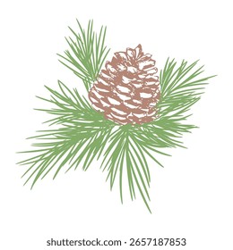 Rustic pine cone and green pine needles in vintage hand-drawn style. Ideal for holiday decor, packaging, cards, and forest-themed design project