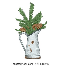 
Rustic pitcher vase with fir branches and cones. Vector vintage jug. Color sketch. Isolated object on white background.