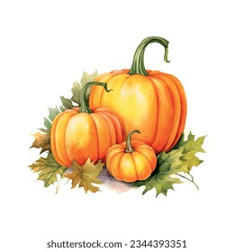 Rustic pumpkin watercolor autumn still life for celebration design. Organic food. Cozy home decor. Modern interior.