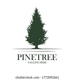 Pino Rústico Retro Vintage, evergreen, abeto, abeto, abeto, coníferas, cedro, coníferas, ciprés, larca, pinus diseño del logo