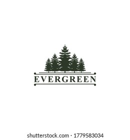 Rustic Retro Vintage pine, evergreen, fir, hemlock, spruce, conifer, cedar, coniferous, cypress, larch, pinus trees logo design
